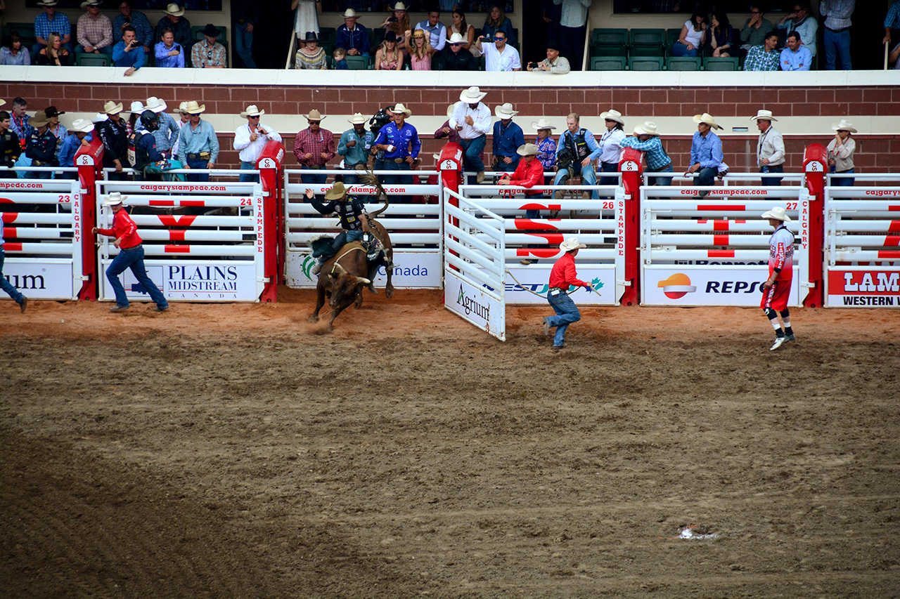 2017-07-10, 386, Calgary Stampede, AB, Bull Riding