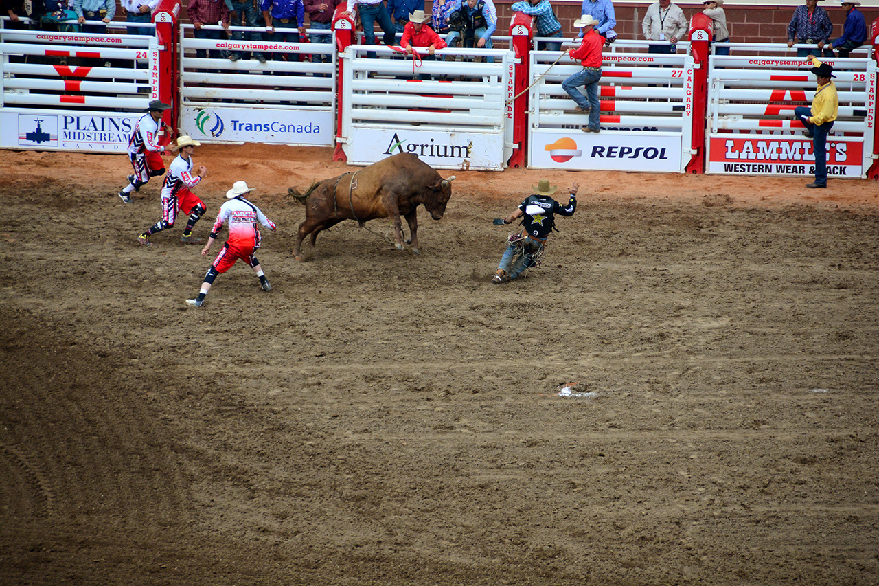 2017-07-10, 396, Calgary Stampede, AB, Bull Riding