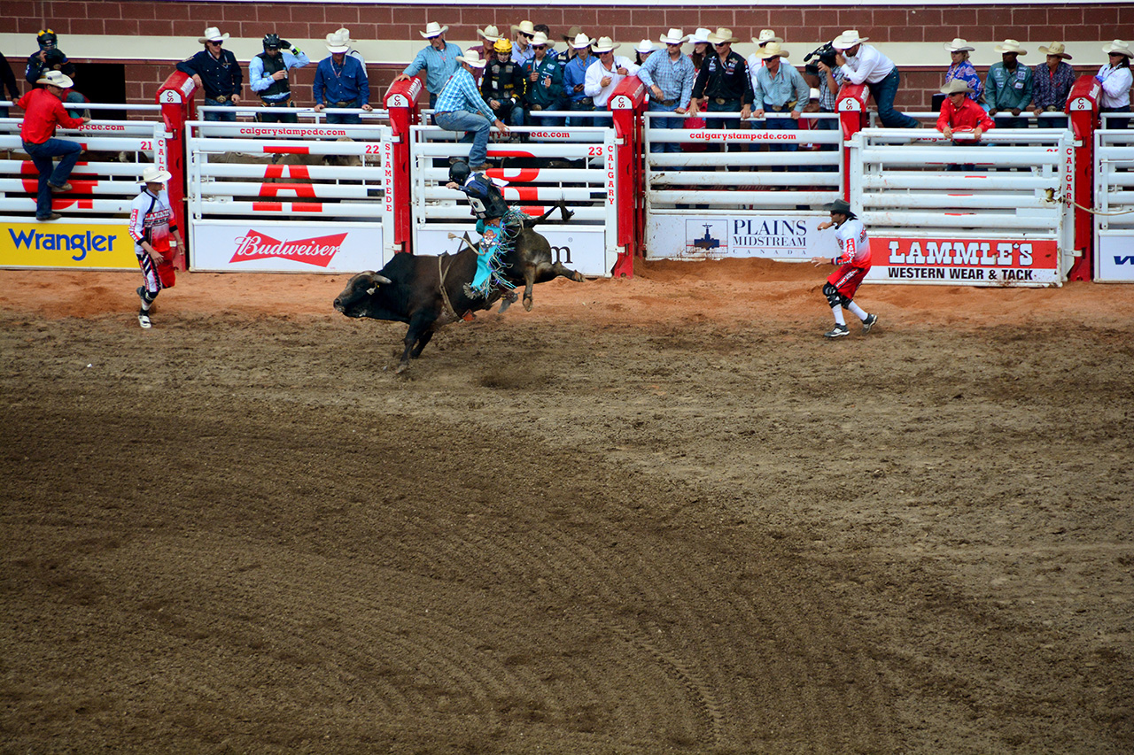 2017-07-10, 401, Calgary Stampede, AB, Bull Riding