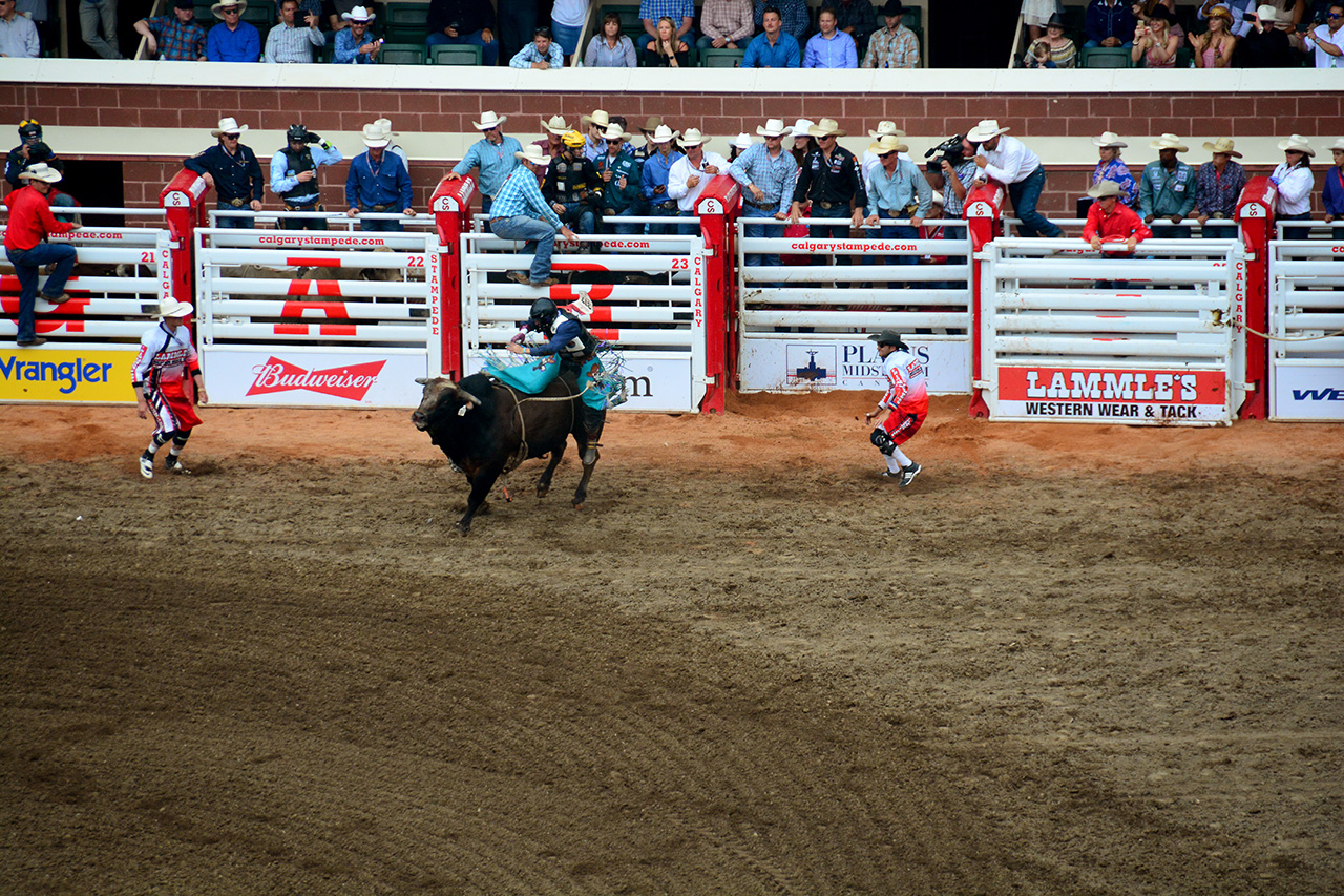 2017-07-10, 402, Calgary Stampede, AB, Bull Riding