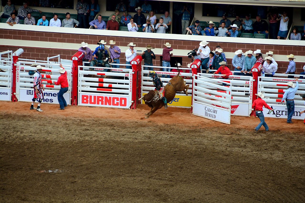 2017-07-10, 419, Calgary Stampede, AB, Bull Riding