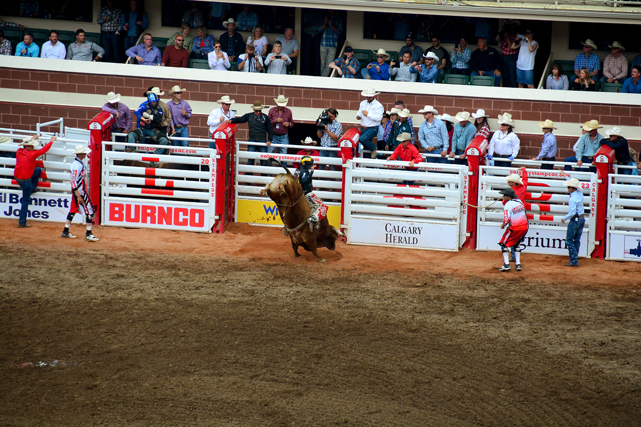 2017-07-10, 421, Calgary Stampede, AB, Bull Riding