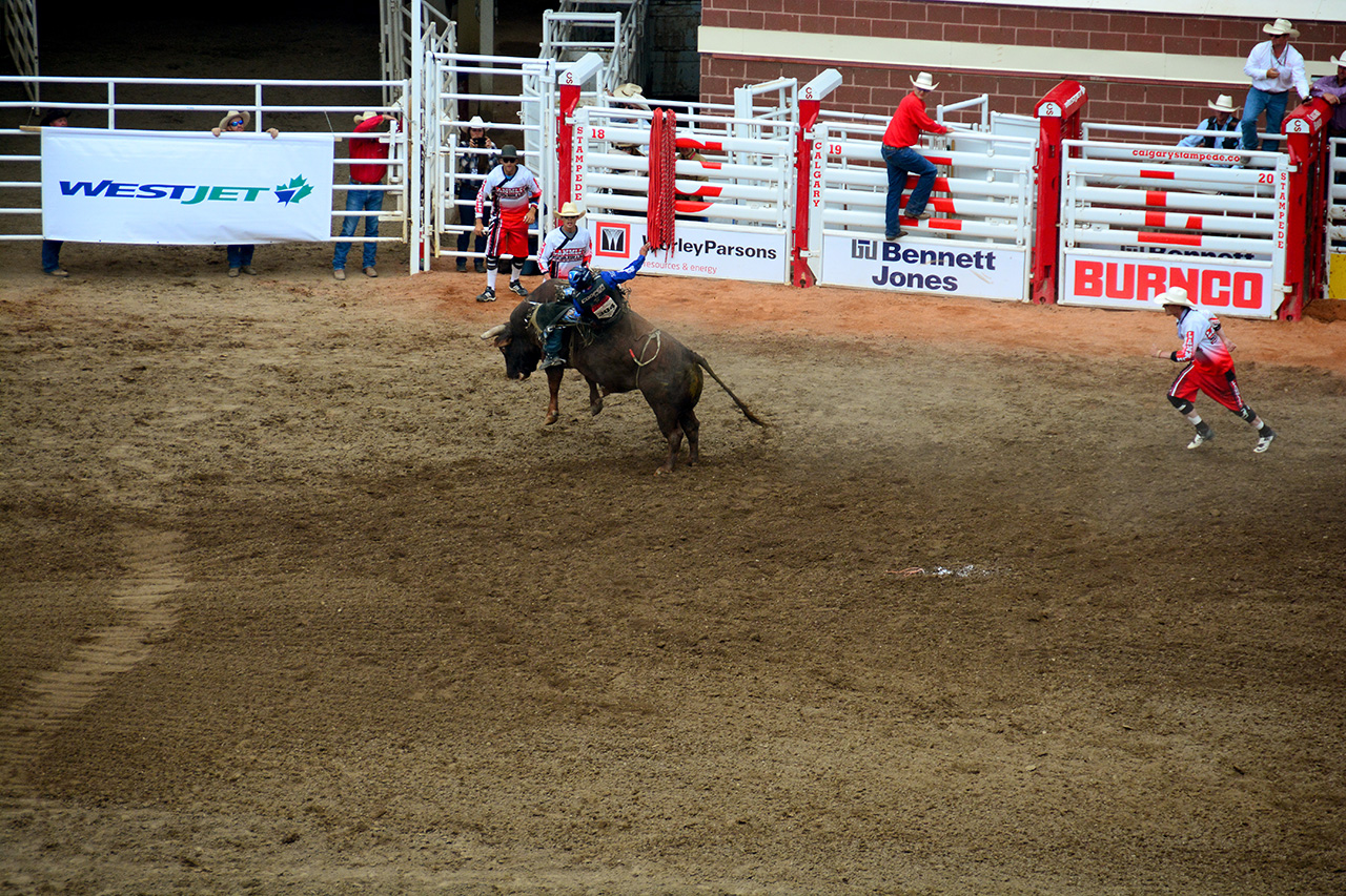 2017-07-10, 430, Calgary Stampede, AB, Bull Riding