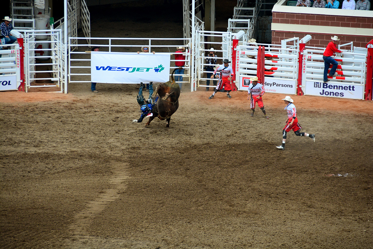 2017-07-10, 433, Calgary Stampede, AB, Bull Riding