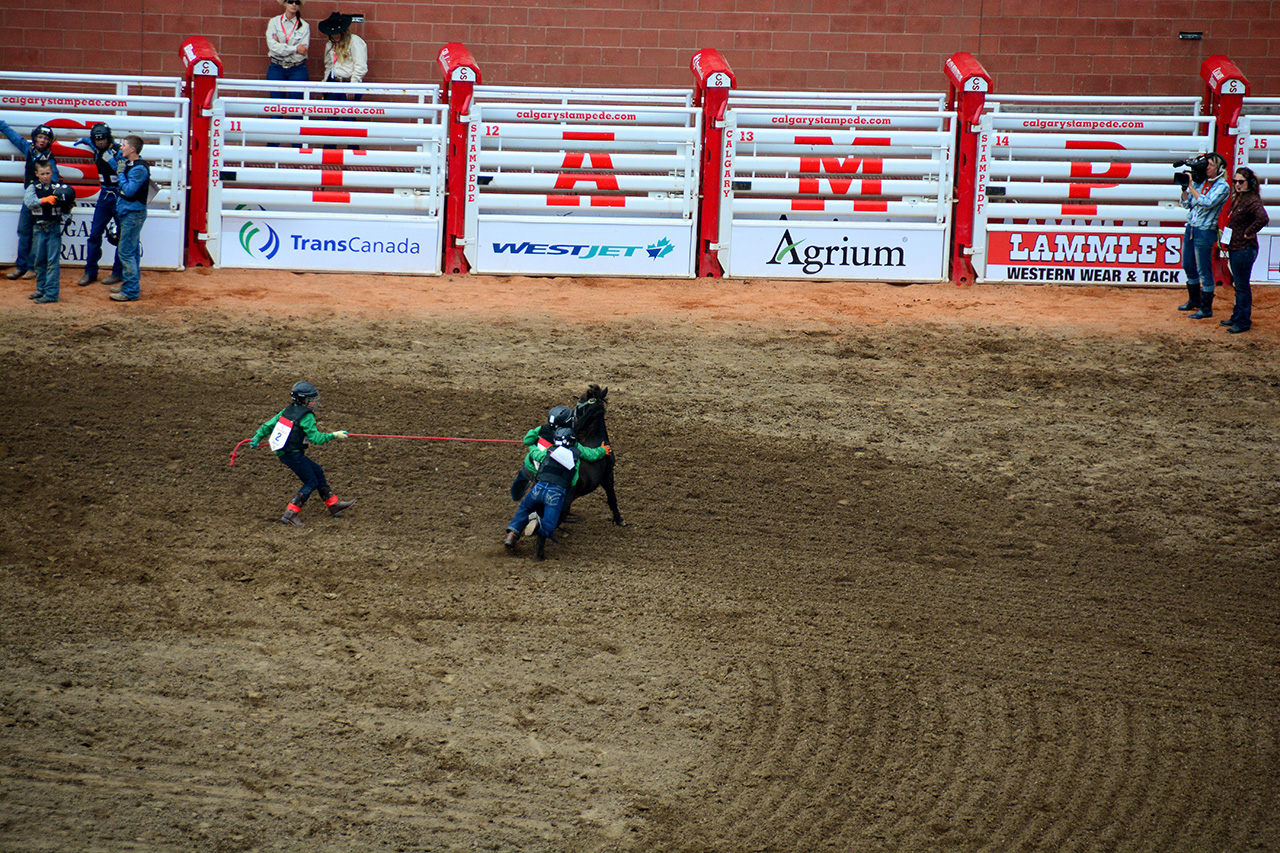 2017-07-10, 452, Calgary Stampede, AB, Youth Wild Pony