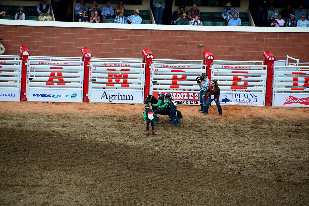 2017-07-10, 454, Calgary Stampede, AB, Youth Wild Pony