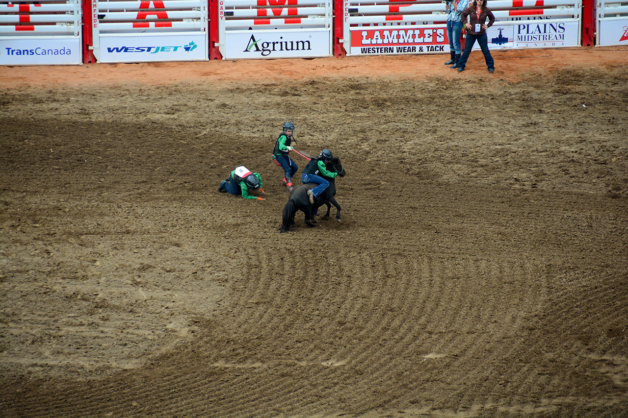 2017-07-10, 457, Calgary Stampede, AB, Youth Wild Pony