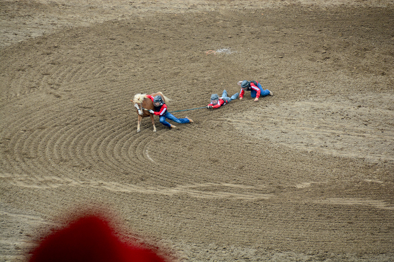 2017-07-10, 465, Calgary Stampede, AB, Youth Wild Pony