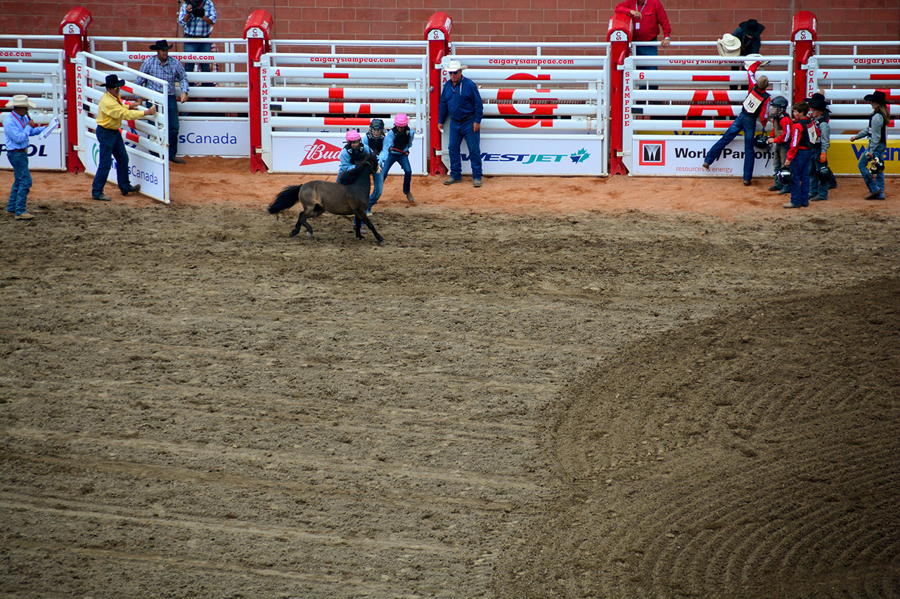 2017-07-10, 475, Calgary Stampede, AB, Youth Wild Pony