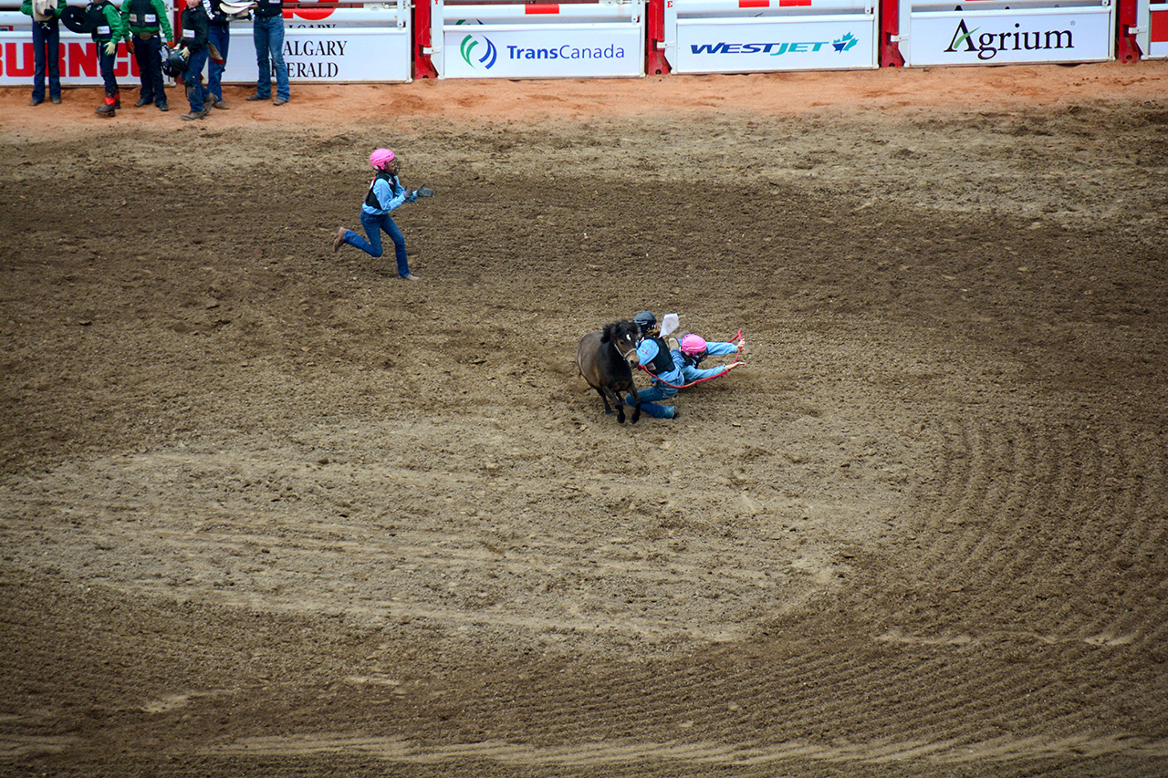 2017-07-10, 480, Calgary Stampede, AB, Youth Wild Pony