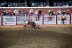 2017-07-10, 372, Calgary Stampede, AB, Bull Riding