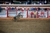 2017-07-10, 379, Calgary Stampede, AB, Bull Riding