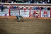 2017-07-10, 380, Calgary Stampede, AB, Bull Riding