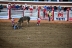 2017-07-10, 382, Calgary Stampede, AB, Bull Riding