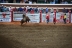 2017-07-10, 388, Calgary Stampede, AB, Bull Riding