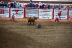 2017-07-10, 391, Calgary Stampede, AB, Bull Riding