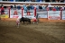 2017-07-10, 407, Calgary Stampede, AB, Bull Riding