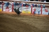 2017-07-10, 410, Calgary Stampede, AB, Bull Riding