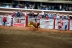 2017-07-10, 422, Calgary Stampede, AB, Bull Riding