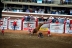 2017-07-10, 426, Calgary Stampede, AB, Bull Riding