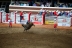 2017-07-10, 428, Calgary Stampede, AB, Bull Riding