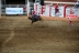 2017-07-10, 431, Calgary Stampede, AB, Bull Riding