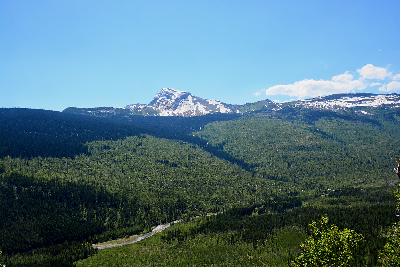 2017-07-13, 017, Glacier National Park, Sun Road