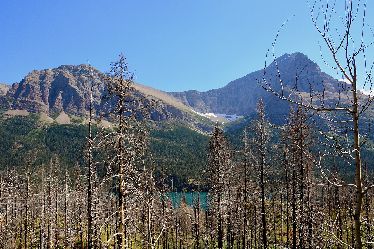 2017-07-13, 038, Glacier National Park, Sun Road