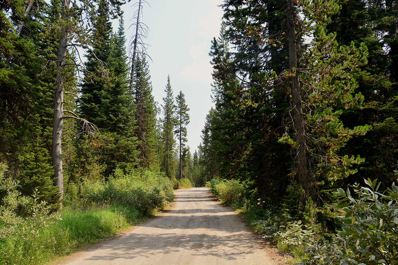 2017-08-07, 006, Ashton-Flagg Ranch Rd, WY