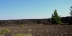 2017-08-22, 041, Craters of the Moon, ID