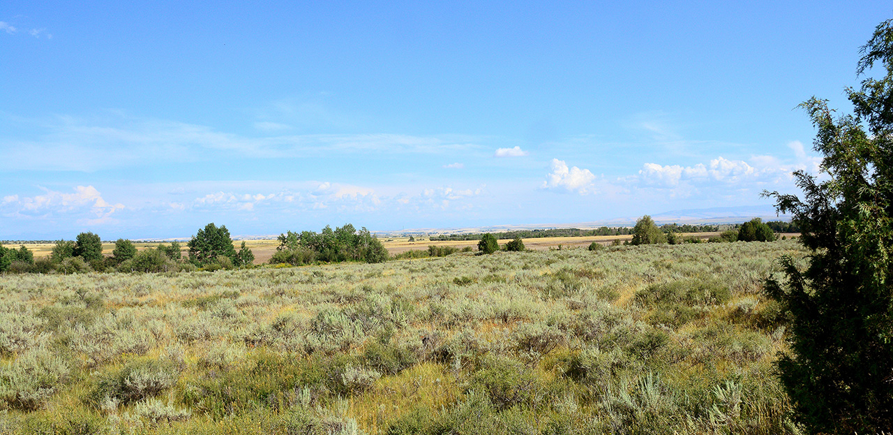 2017-08-17, 001, Teton Valley, ID