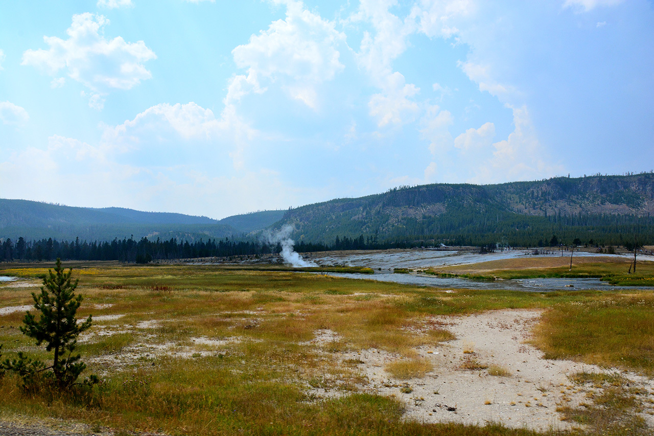 2017-08-05, 017, Yellowstone NP, Along West Loop