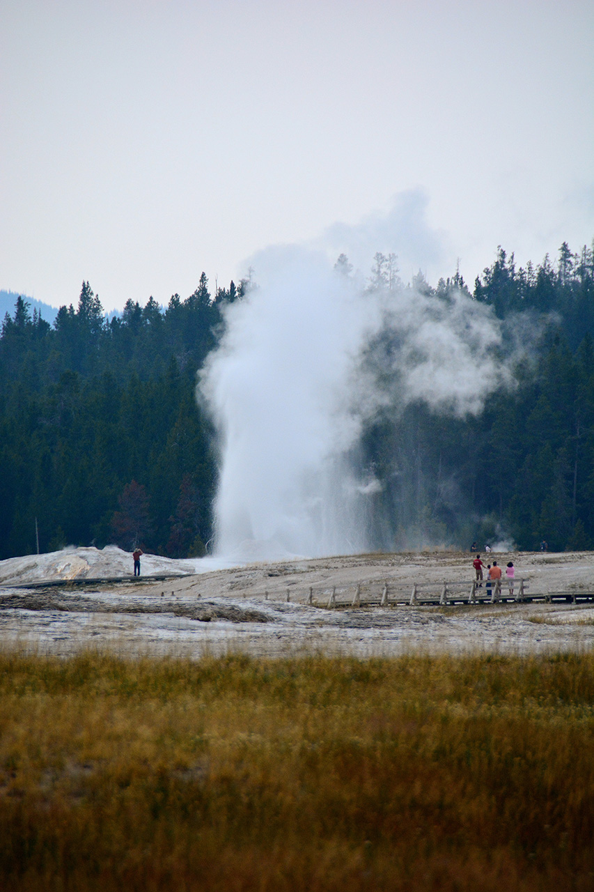2017-08-05, 022, Yellowstone NP, Anemone Geyser
