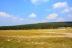 2017-08-05, 037, Yellowstone NP, Along West Loop