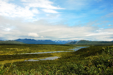 2013-08-11, 068, Denali Hwy, A8, Alaska