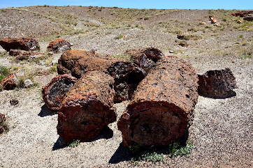 2016-06-03, 042, Petrified Forest, Crystal Forest