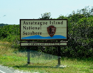 2017-06-12, 001, Assateague Island NS, MD